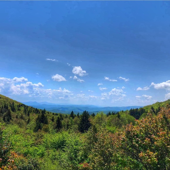 Meet your Posher, Andrea - Picture 4 of 4